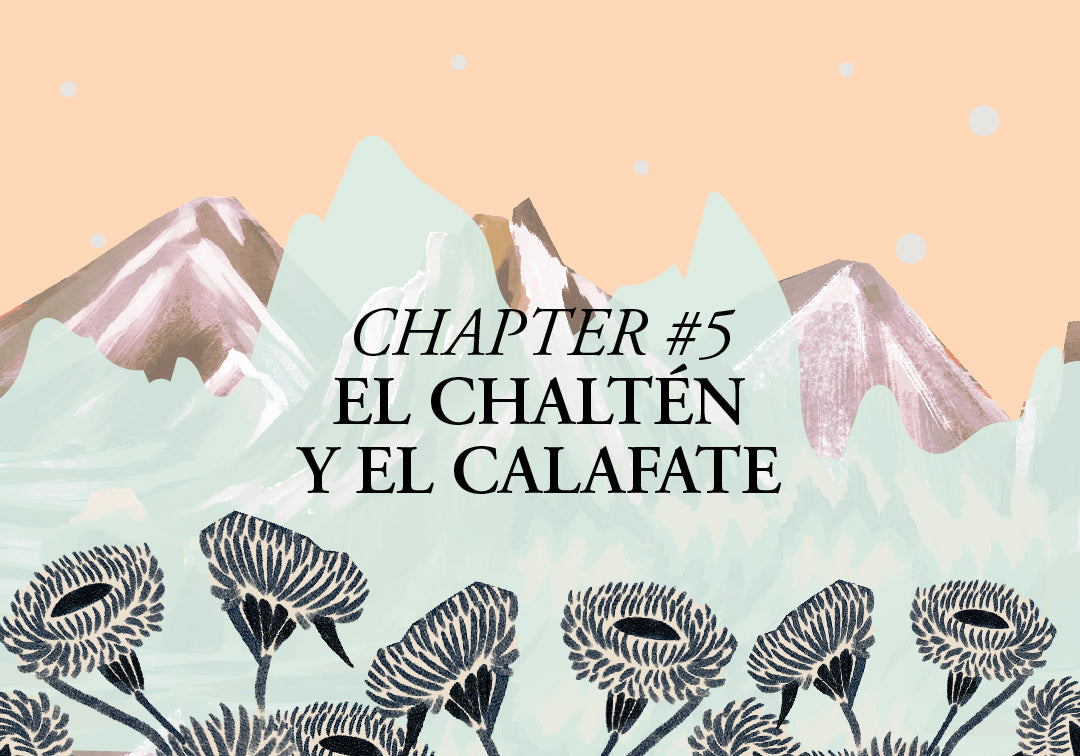 El Calafate & El Chalten - CHAPTER V