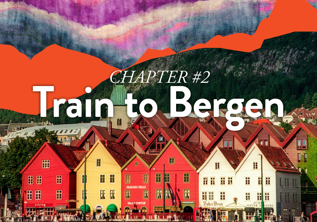 Train to Bergen - CHAPTER II