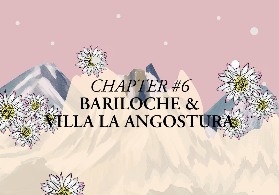 Bariloche & Villa La Angostura - CHAPTER VI